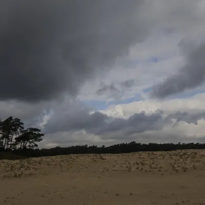 Wekeromse zand 250224 Wekerom 48A9316