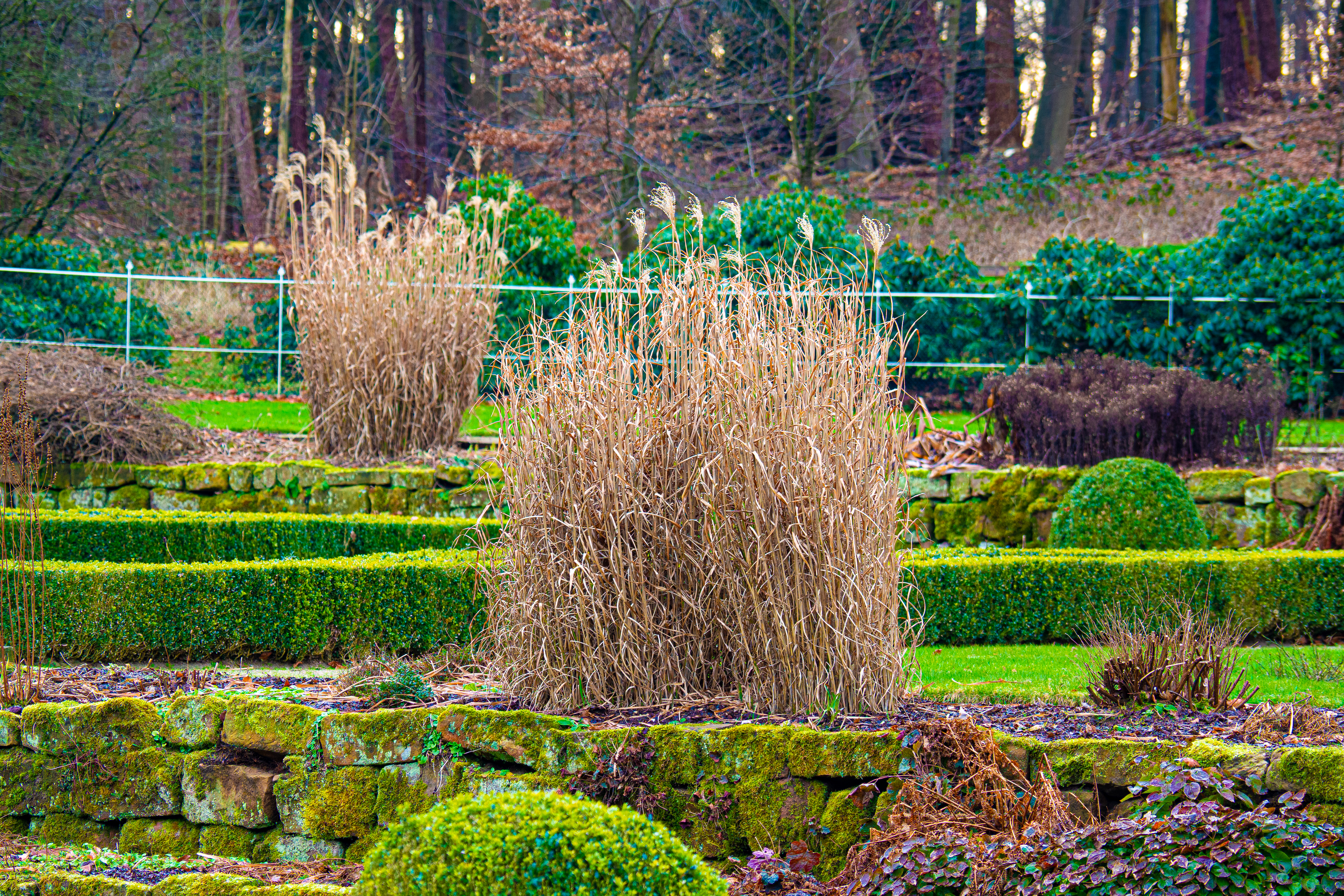 02-2022 Groot Warnsborn