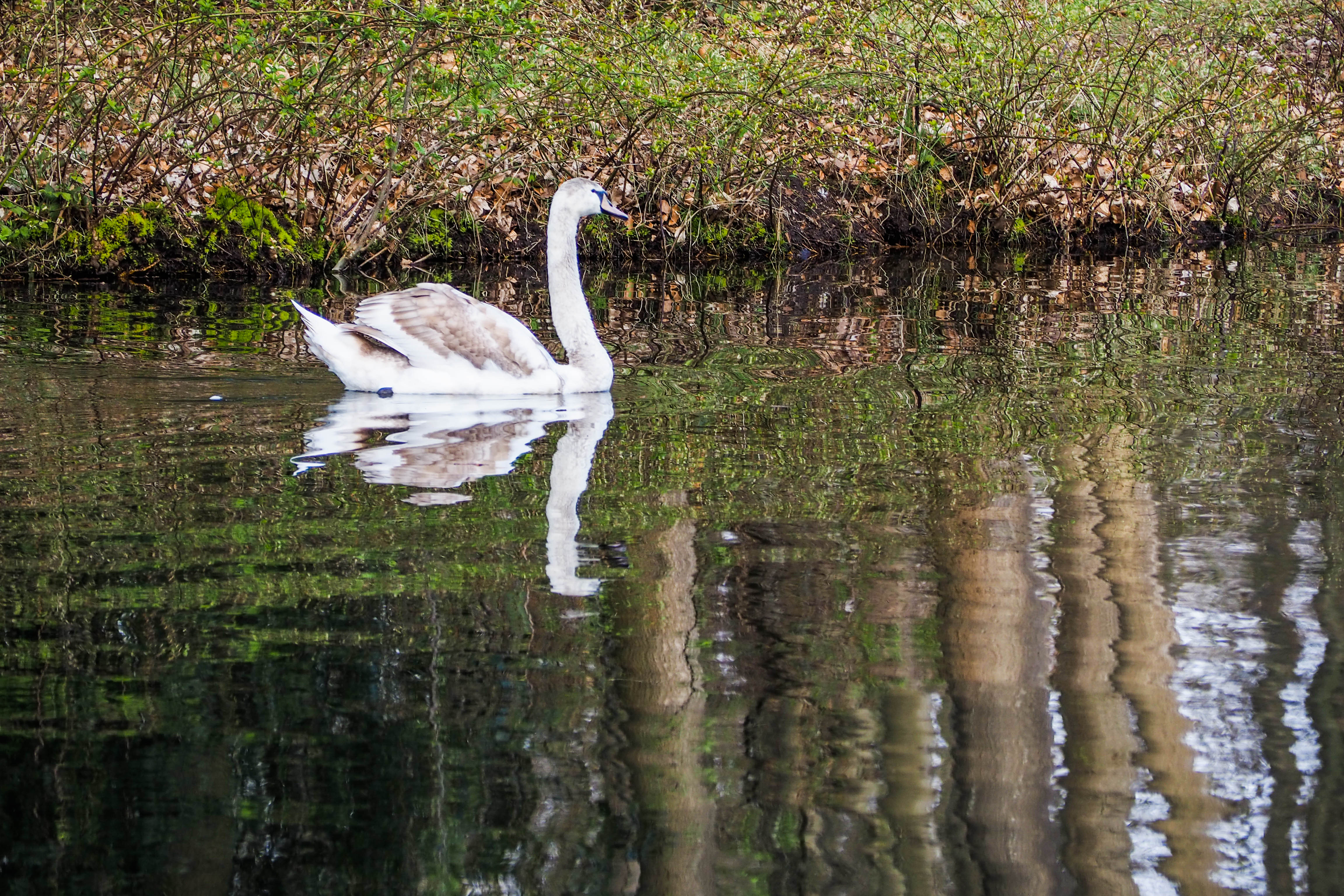 04-2021 Kasteel Biljoen