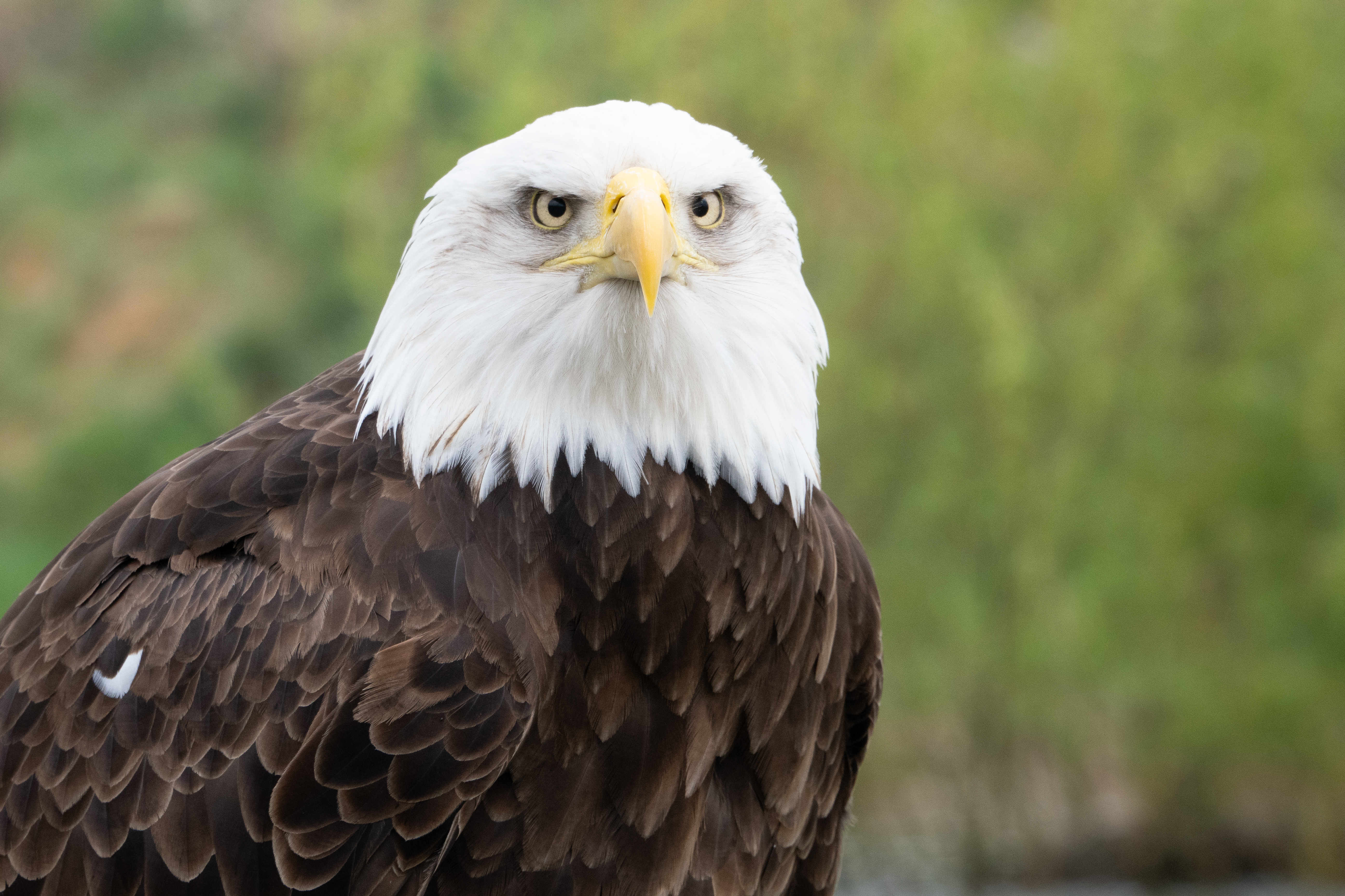 04-2025 de Valk fotografie