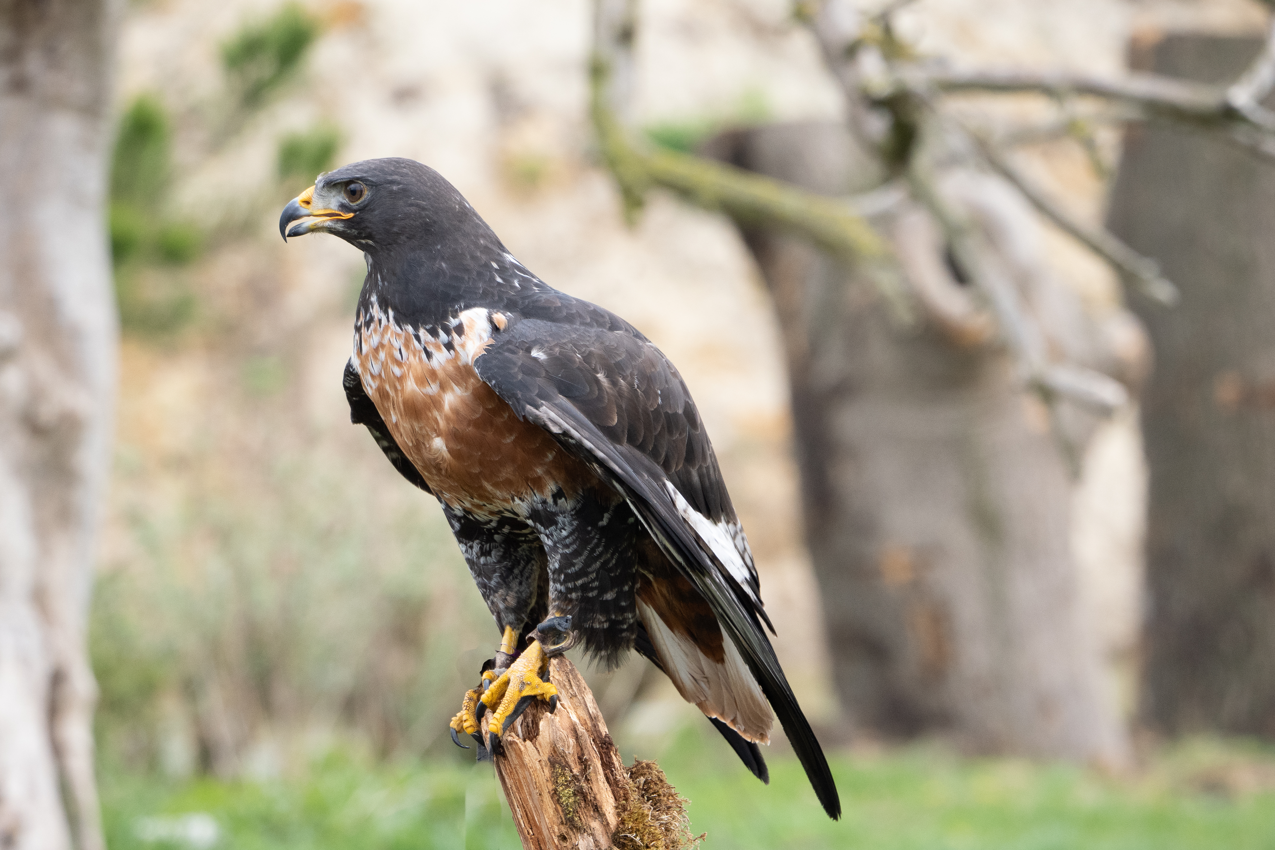 04-2025 de Valk fotografie