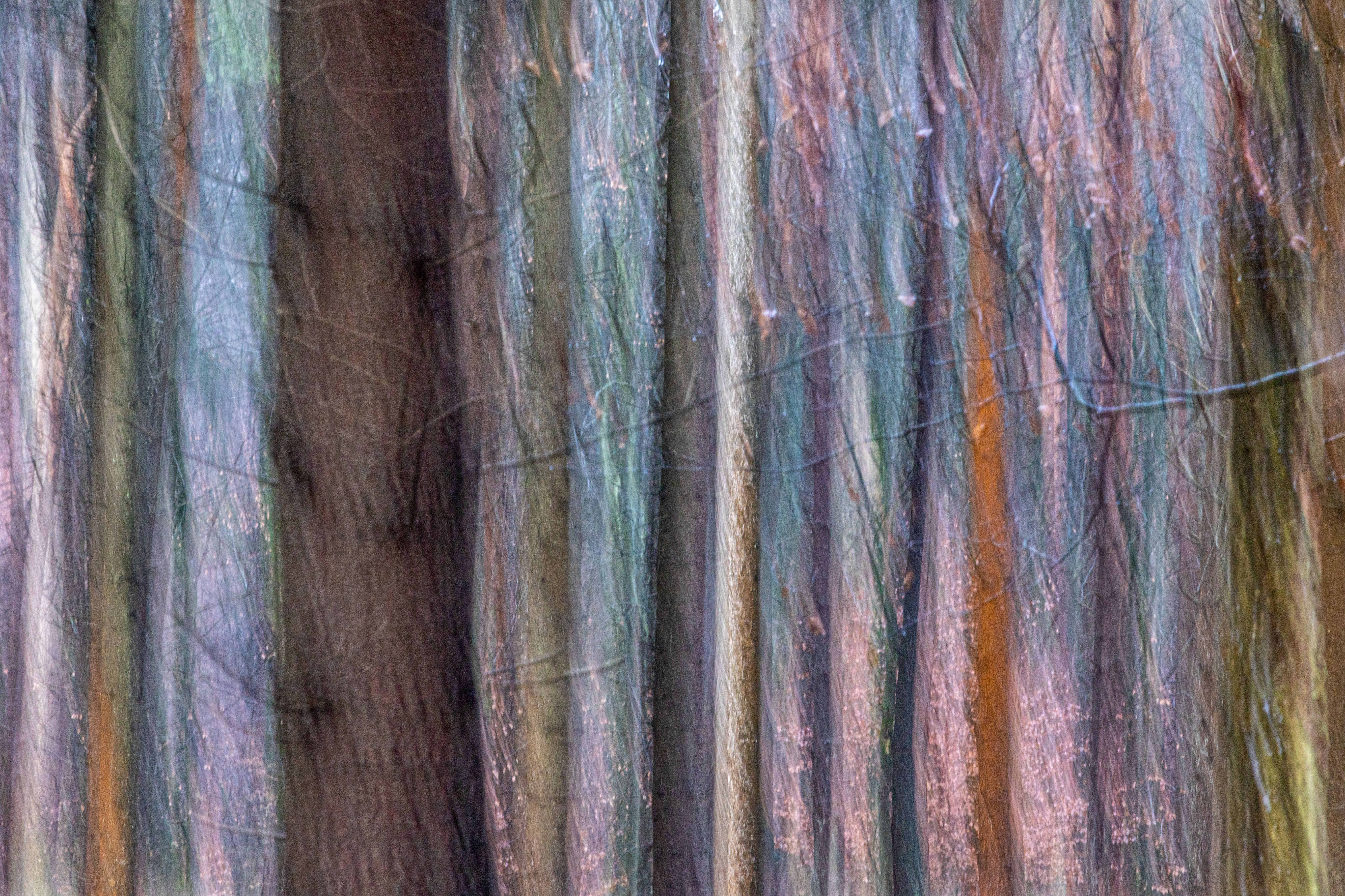 Kleurenpalet, Onzalige bossen (ICM)