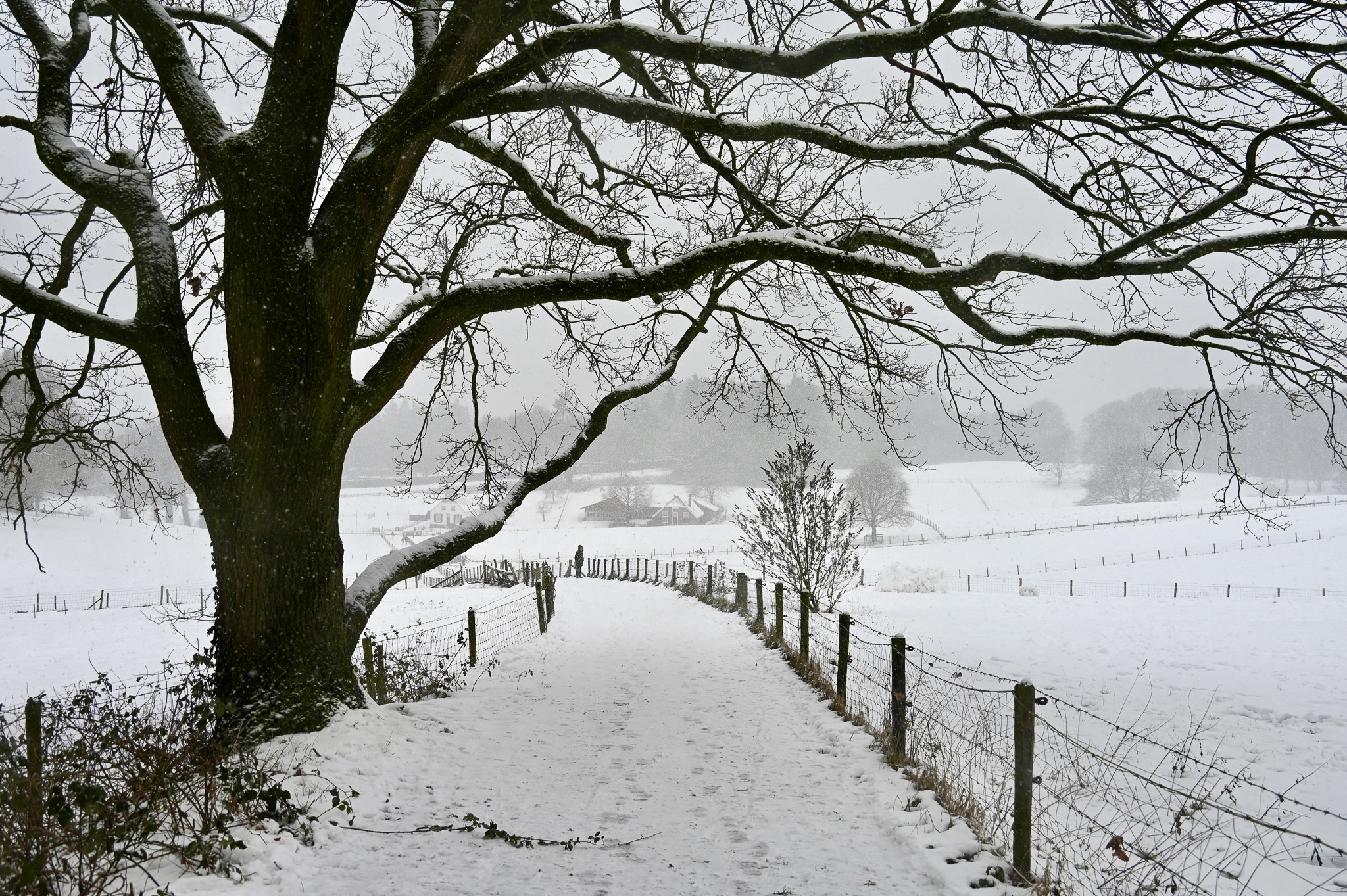 Winter in Park Klarenbeek (Arnhem) 